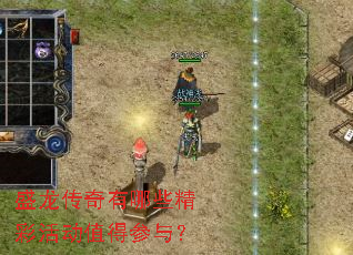 ʢ����������Щ���ʻֵ�ò��룿