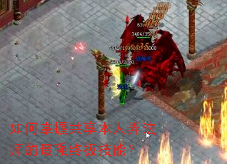 如何掌握共享本人弄法师的最强终极技能? 如何掌握共享本人弄法师的最强终极技能?