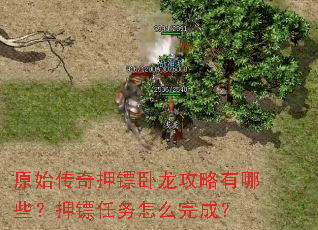 ԭʼ����Ѻ��������������Щ��Ѻ��������ô��ɣ�