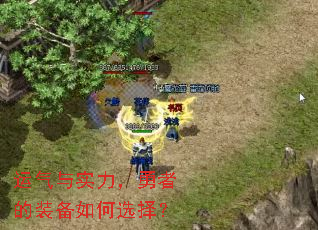 ������ʵ�������ߵ�װ�����ѡ��