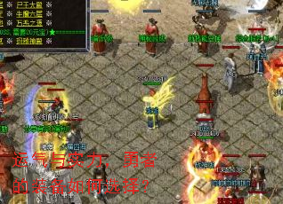 ������ʵ�������ߵ�װ�����ѡ��