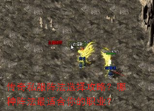 ����˽����ѡ���ԣ����������ʺ����ְҵ��