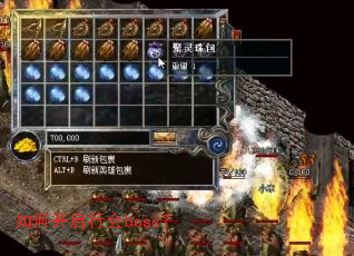 ��ο����л�boss��