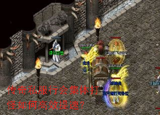 ����˽���лἯ������θ�Ч���٣�