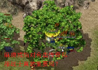 ��Խ�ָ�Ժϻ�����˽��սʿ�����Ҫ��