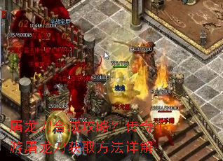 �������ϳɹ��ԣ�����������������ȡ�������