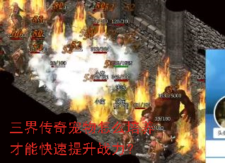 三界传奇宠物怎么培养才能快速提升战力? 三界传奇宠物怎么培养才能快速提升战力?