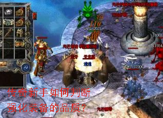 ������������ж�ǿ��װ����Ʒ�ʣ�