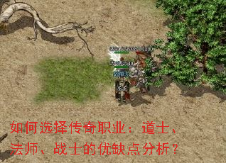 ���ѡ����ְҵ����ʿ����ʦ��սʿ����ȱ�������