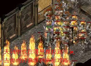 天狼蜘蛛在哪里能找到?复古传奇经典怪物坐标攻略 天狼蜘蛛在哪里能找到?复古传奇经典怪物坐标攻略