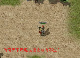 传奇天下私服技能攻略有哪些? 传奇天下私服技能攻略有哪些?