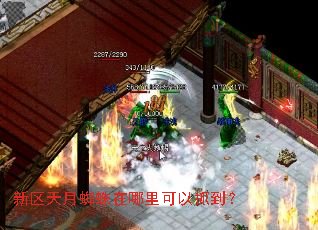 ��������֩�����������ץ����