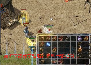 ������ش���˽������������ָ��