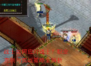 սʿ���Ӧ�Ե�ʿ��ְҵ������ʵս����ȫ����