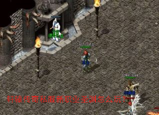 ��ԯ����˽����ְҵʥԨ��ô�棿