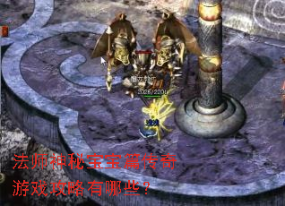 法师神秘宝宝篇传奇游戏攻略有哪些? 法师神秘宝宝篇传奇游戏攻略有哪些?