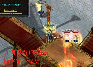 ��λ��176���Ű���������������