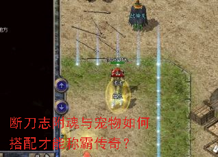 断刀志附魂与宠物如何搭配才能称霸传奇? 断刀志附魂与宠物如何搭配才能称霸传奇?