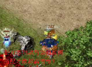 断刀志附魂与宠物如何搭配才能称霸传奇? 断刀志附魂与宠物如何搭配才能称霸传奇?