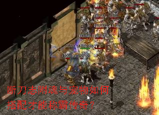 断刀志附魂与宠物如何搭配才能称霸传奇? 断刀志附魂与宠物如何搭配才能称霸传奇?