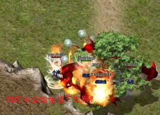 如何安全地前往五蛇殿? 如何安全地前往五蛇殿?