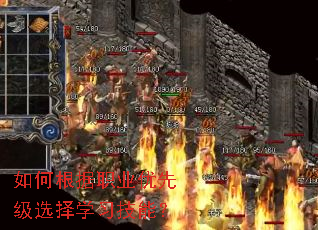 ��θ���ְҵ���ȼ�ѡ��ѧϰ���ܣ�