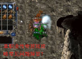 ��ְҵ������Ϸ���Գ���������