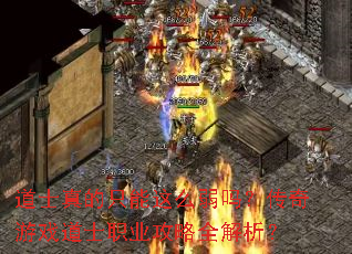 道士真的只能这么弱吗?传奇游戏道士职业攻略全解析? 道士真的只能这么弱吗?传奇游戏道士职业攻略全解析?