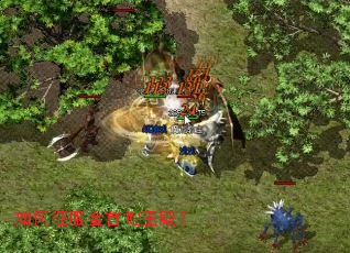 ����������������