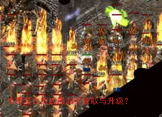 ���渴�Ű�������λ�ȡ��������