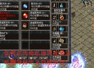 ����ڴ���˽���������ӻ�ɾ���Զ��幦�ܰ�ť��