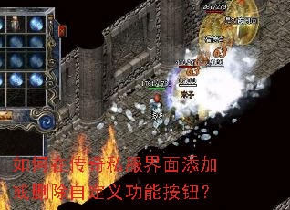 ����ڴ���˽���������ӻ�ɾ���Զ��幦�ܰ�ť��