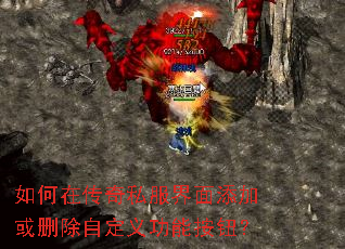 ����ڴ���˽���������ӻ�ɾ���Զ��幦�ܰ�ť��