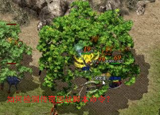 ��μ�⴫���ս�ű����