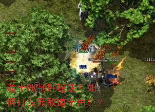 ��ʿPK��ʤ�ؾ�����δ����޵е�ʿ��ɫ��