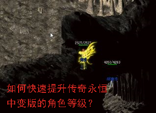 ��ο����������������б��Ľ�ɫ�ȼ���