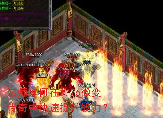 ��ʦ�����1.76΢�䴫���п�������ս����