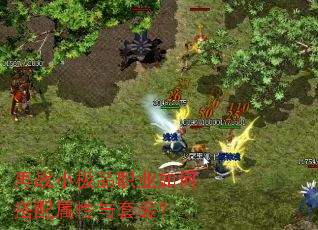 ��սС��Ʒְҵ��δ�����������װ��