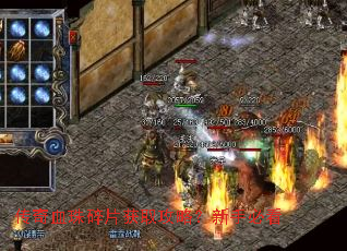 ����Ѫ����Ƭ��ȡ���ԣ����ֱؿ�