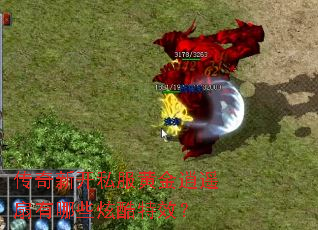 �����¿�˽���ƽ���ң������Щ�ſ���Ч��