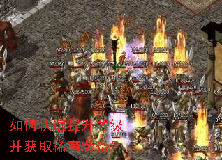 ��ο��������ȼ�����ȡϡ��װ����