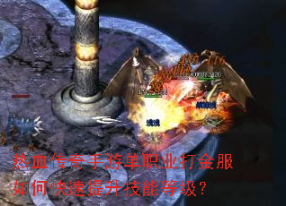 ��Ѫ�������ε�ְҵ������ο����������ܵȼ���