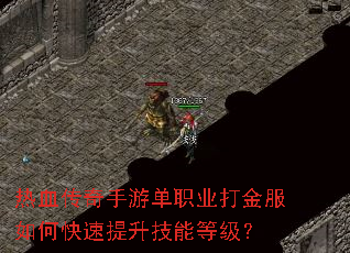 ��Ѫ�������ε�ְҵ������ο����������ܵȼ���