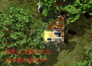 �������ɵ��ʽ��װ����˽���汾��