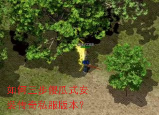 �������ɵ��ʽ��װ����˽���汾��