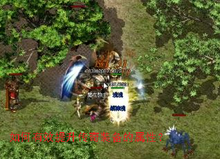 �����Ч��������װ�������ԣ�