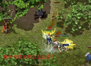 �¿����淢��վ��ôѡ��