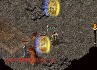 �¿����淢��վ��ôѡ��