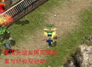 宝宝升级如何实现数量与经验双驱动? 宝宝升级如何实现数量与经验双驱动?