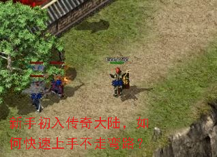 ���ֳ��봫���½����ο������ֲ�����·��